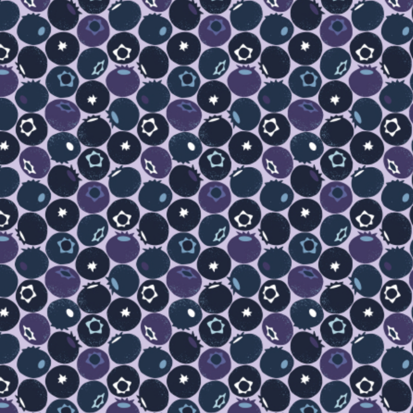 Blueberry Fabric